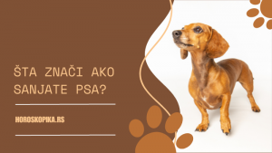 sanjati psa znacenje