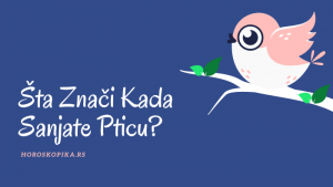 sanjati pticu znacenje