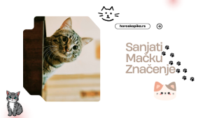 sanjati mačku sanovnik