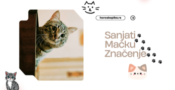 sanjati mačku sanovnik