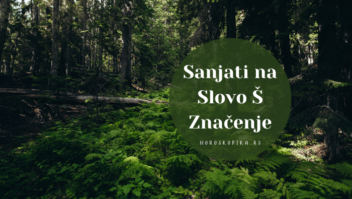 sanjati na slovo š značenje