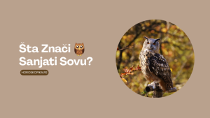 sanjati sovu znacenje