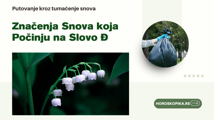 snovi koji počinju na slovo Đ značenje